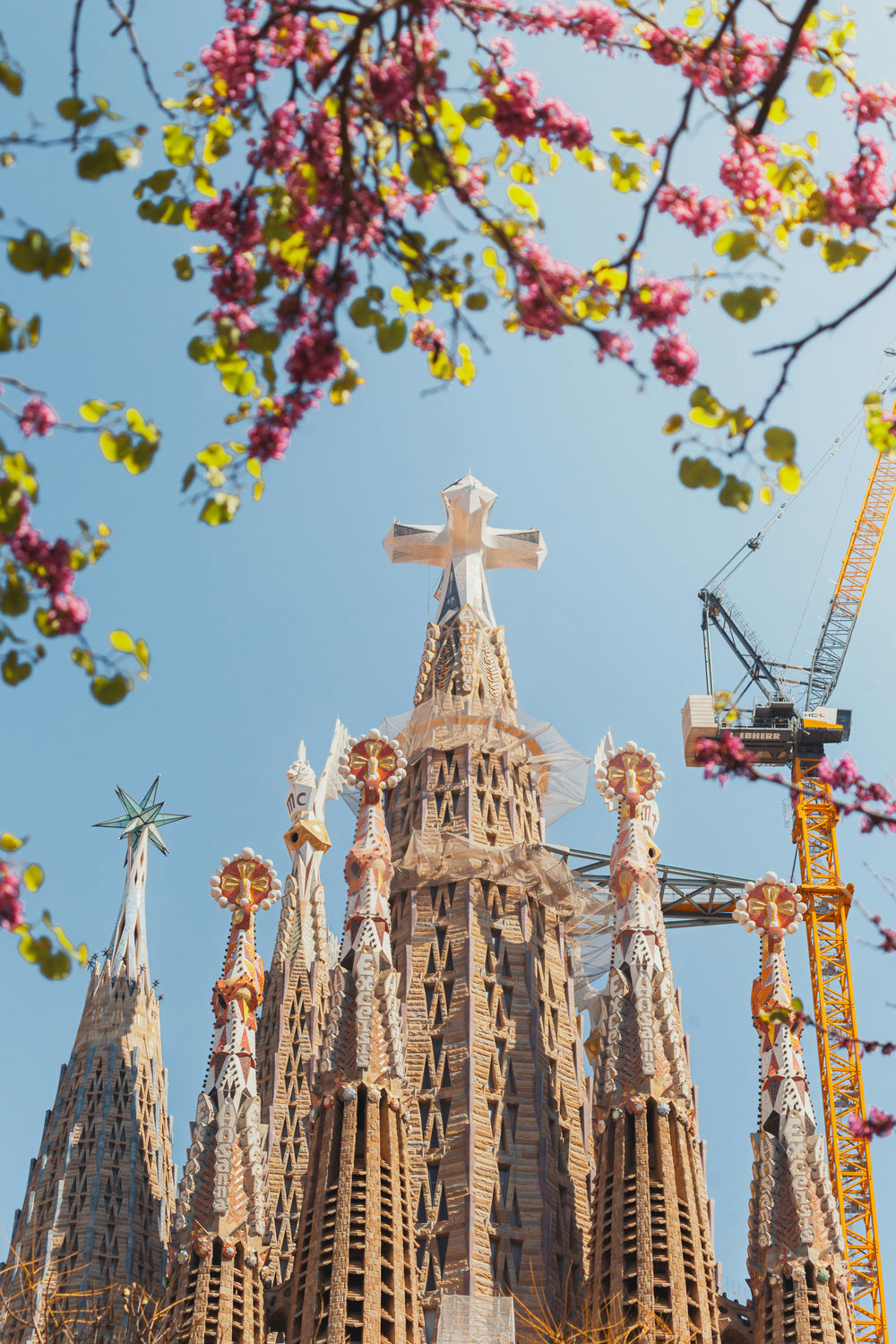 Mercado Inmobiliario 2026: Tendencias y Previsiones