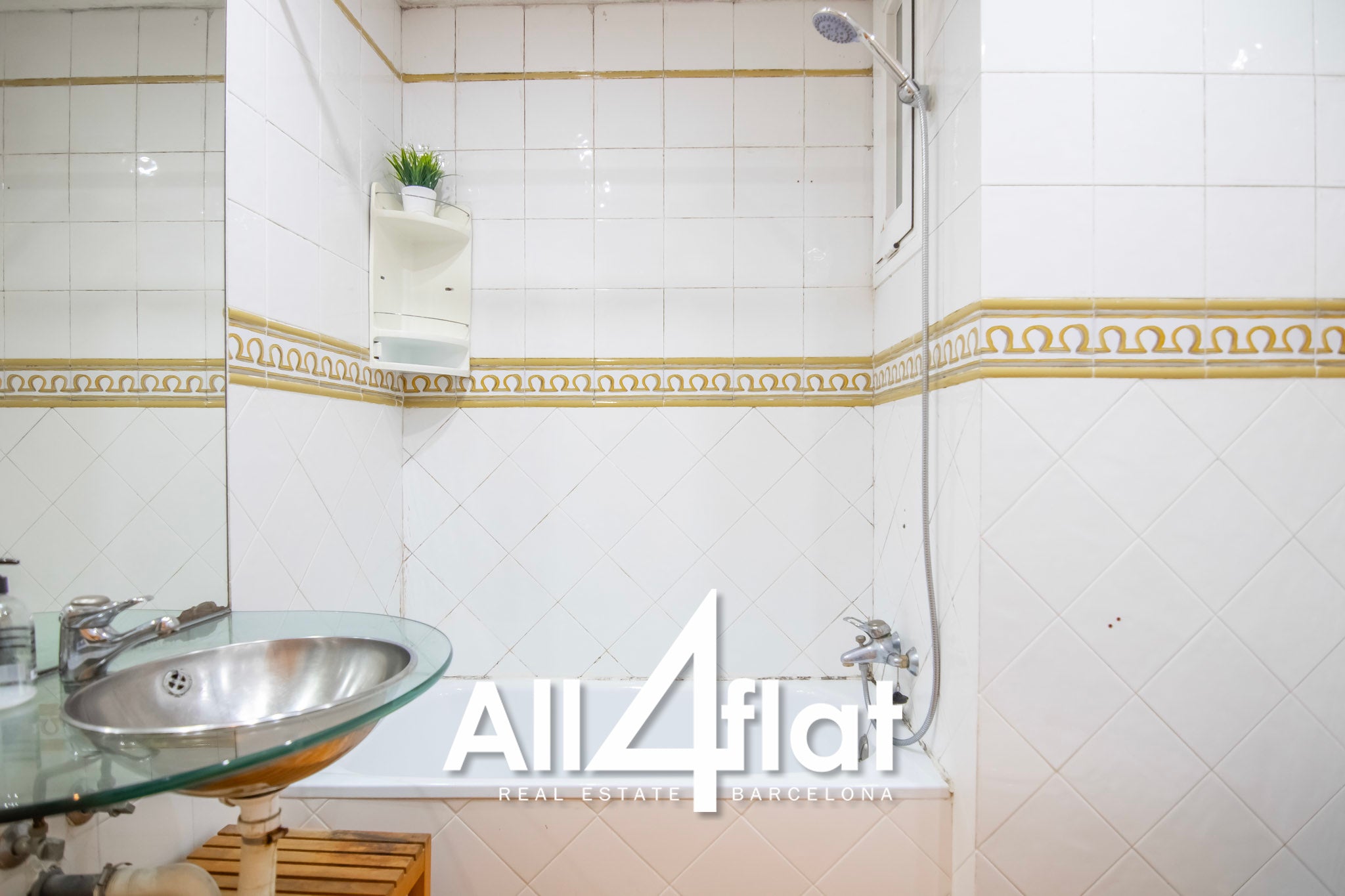 C/ Roca - Réf. : 003599