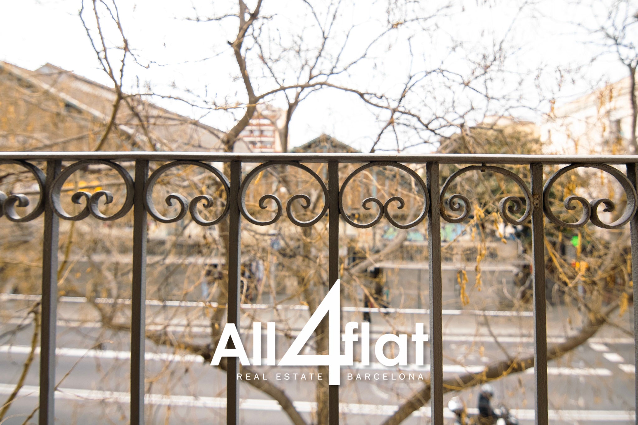 C/ Creu Coberta - Ref: 003637