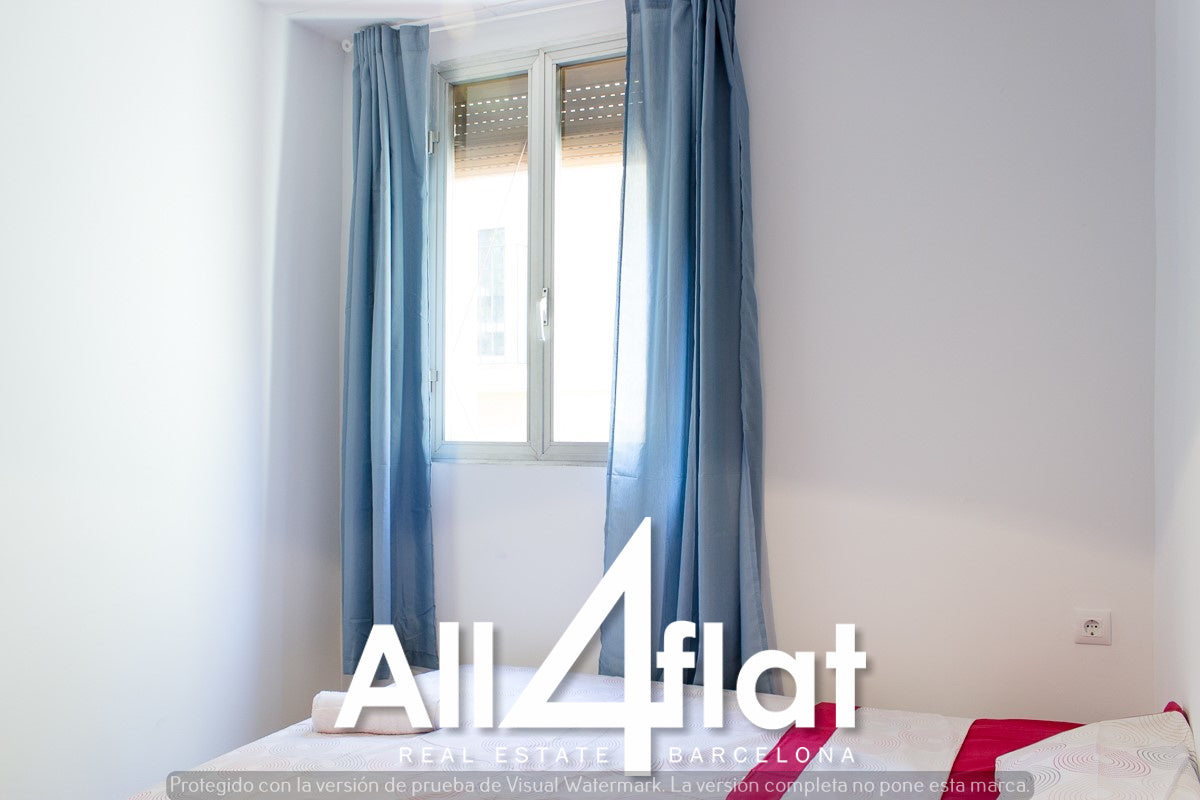 C/ Cera - Réf. : 000387G 