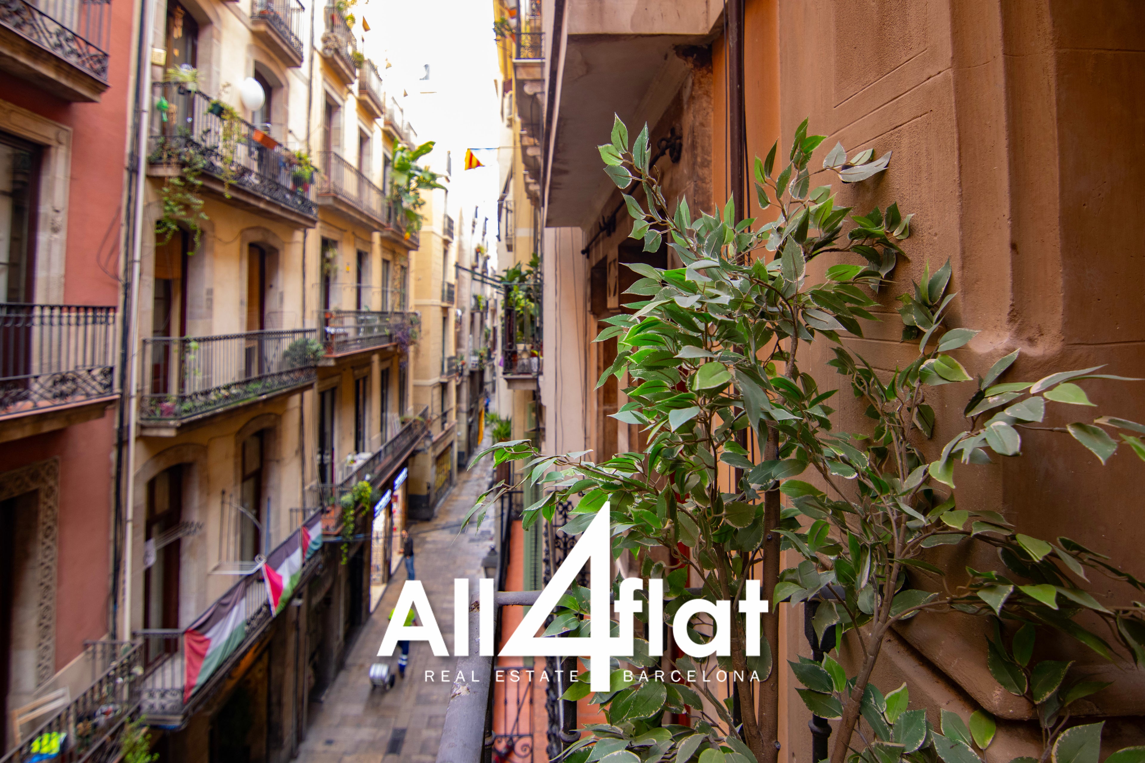 C/ Escudellers - Réf. : 003603 