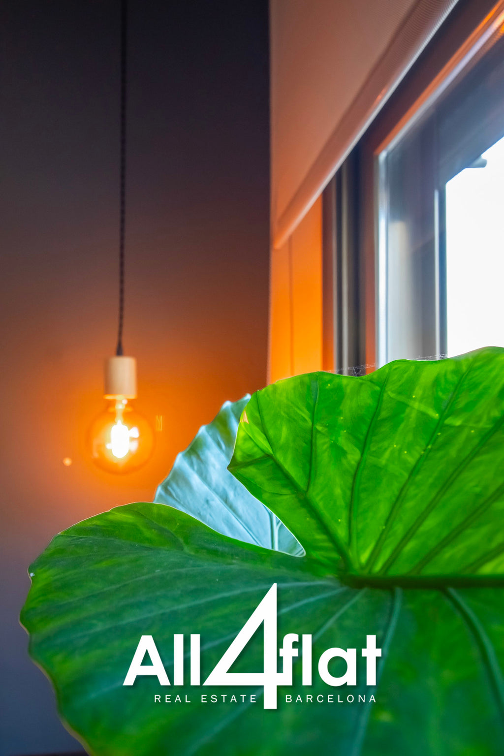 C/ Galileu - Ref: 001684B