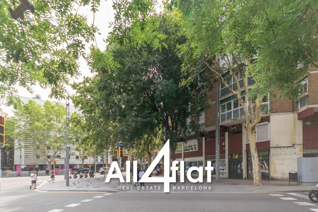 C/ Viladomat - Ref: 001558E 