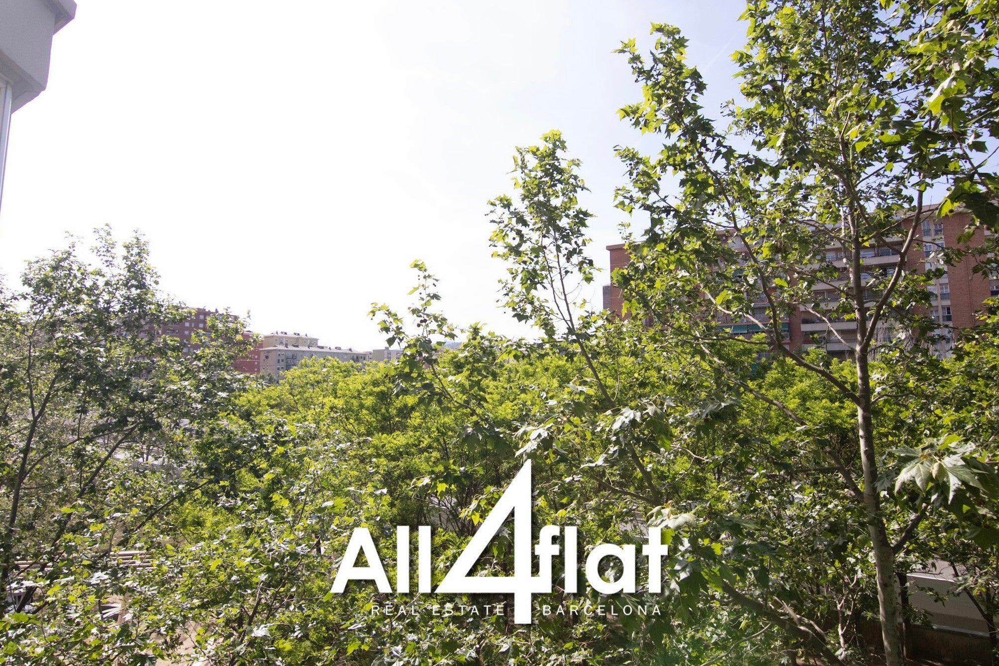 C/ Gran Vía Les Corts Catalanes - Réf: 002909