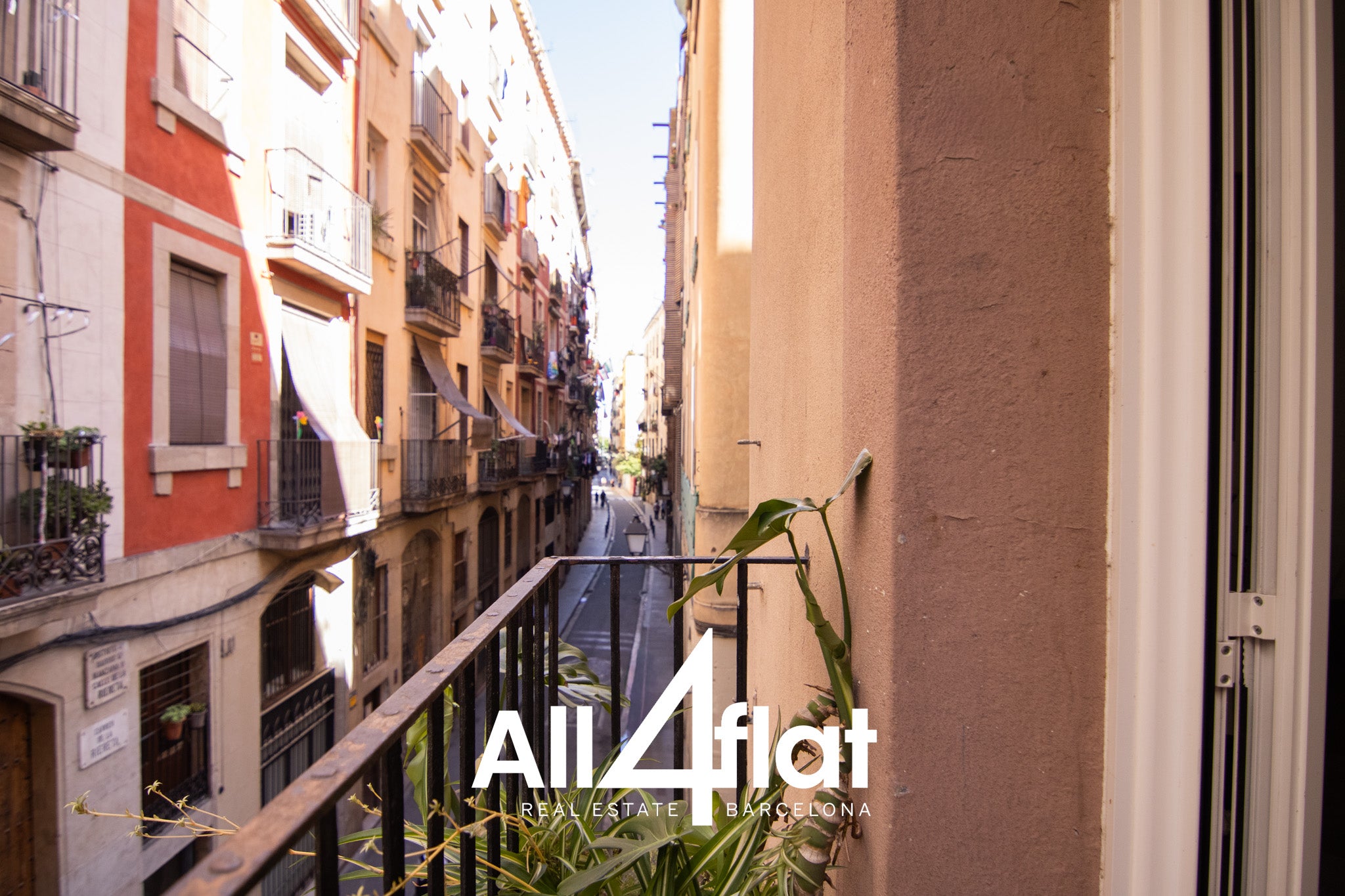 C/ Riereta - Ref: 003652