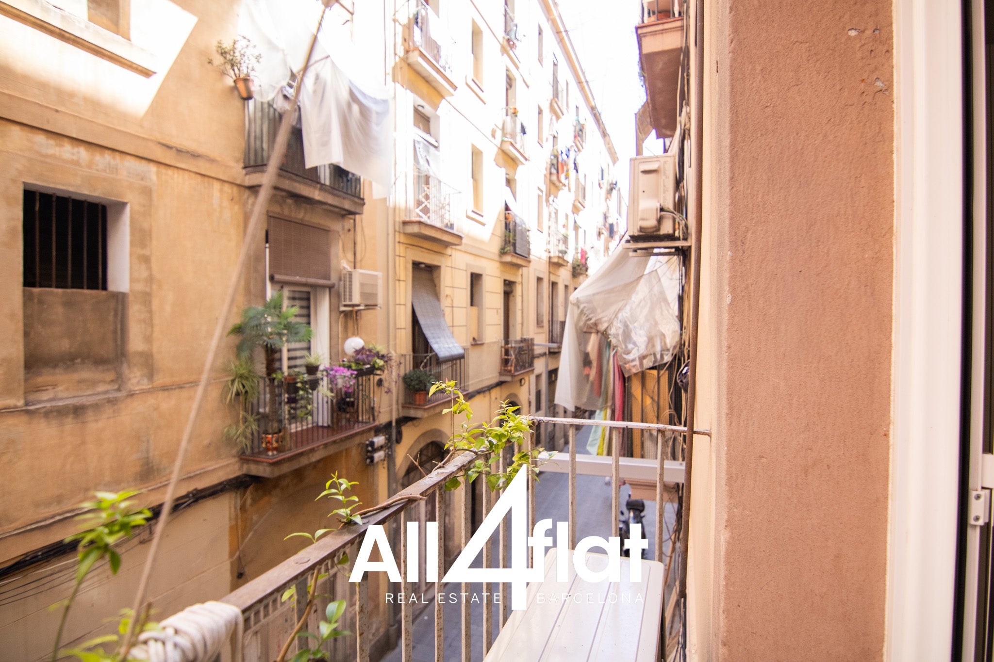 C/ Riereta - Ref: 003652