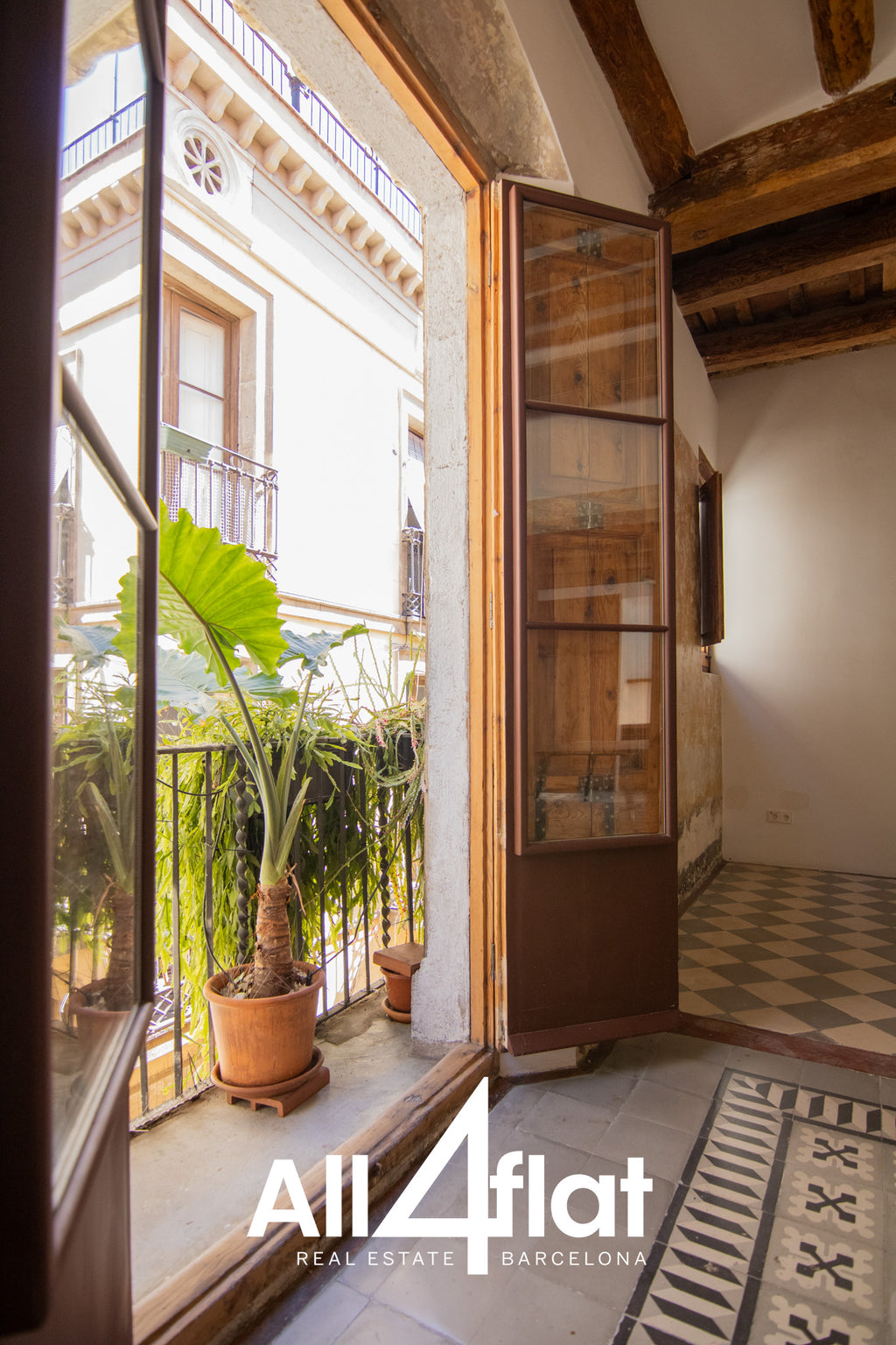 Rue Carabassa - Réf : 003717